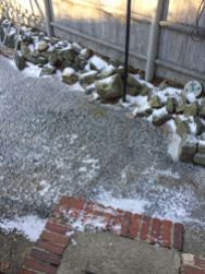 Ice in the backyard